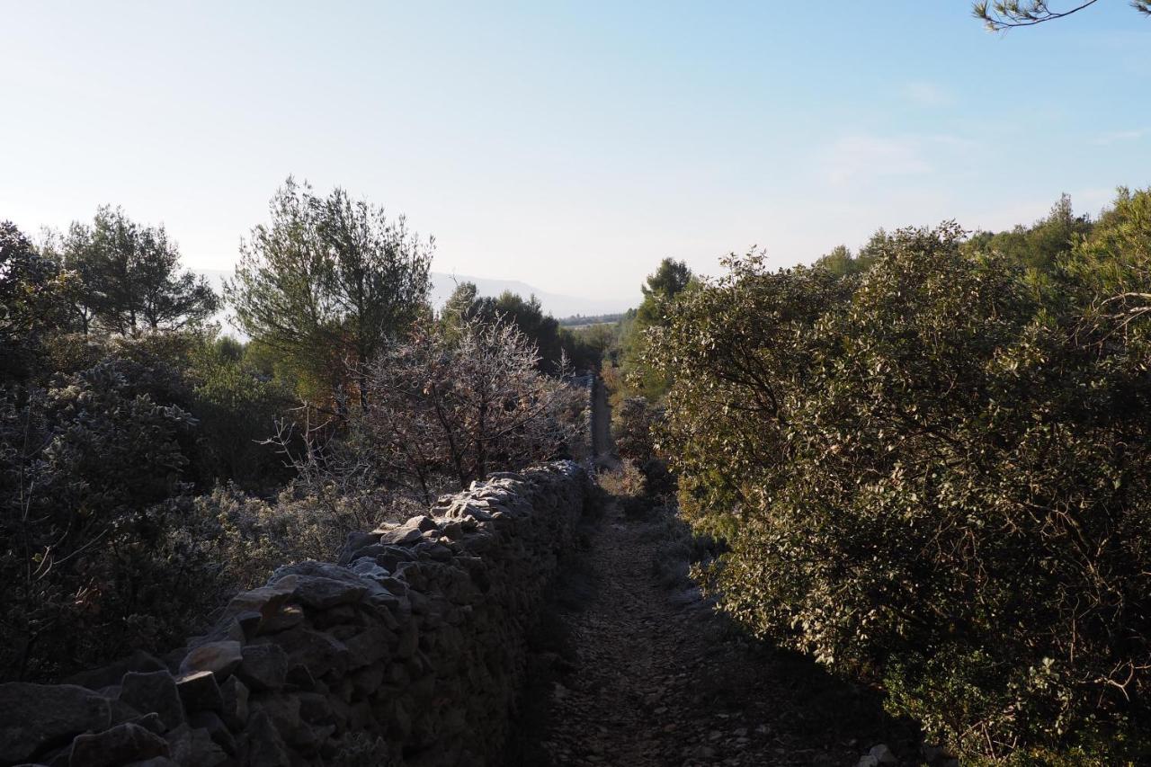 Chambres D'Hotes Le Relais Des Marmottes En Luberon Lagnes Dış mekan fotoğraf